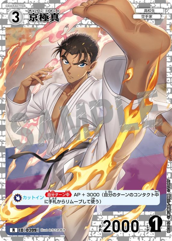 画像1: 京極真【R】《白》[型番 0209]【CT-P02】 (1)