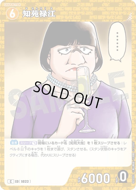 画像1: 知苑禄江【C】《黄》[型番1022] (1)