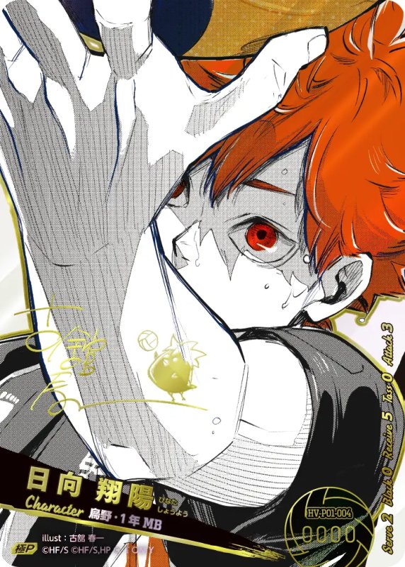 画像1: ★日向 翔陽【極P】《烏野》[型番HV-P01-004] 【古舘春一先生のサイン入り】 (1)