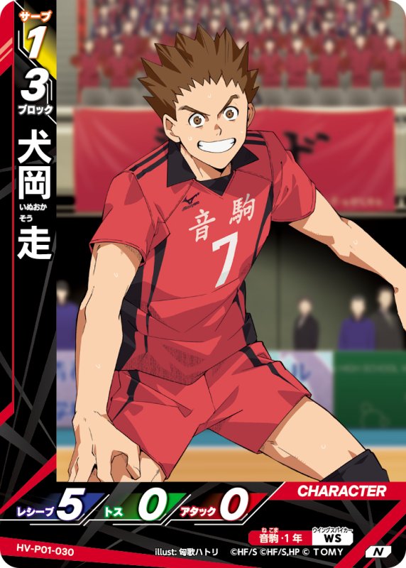 画像1: 犬岡 走【N】《音駒》[型番HV-P01-030] (1)