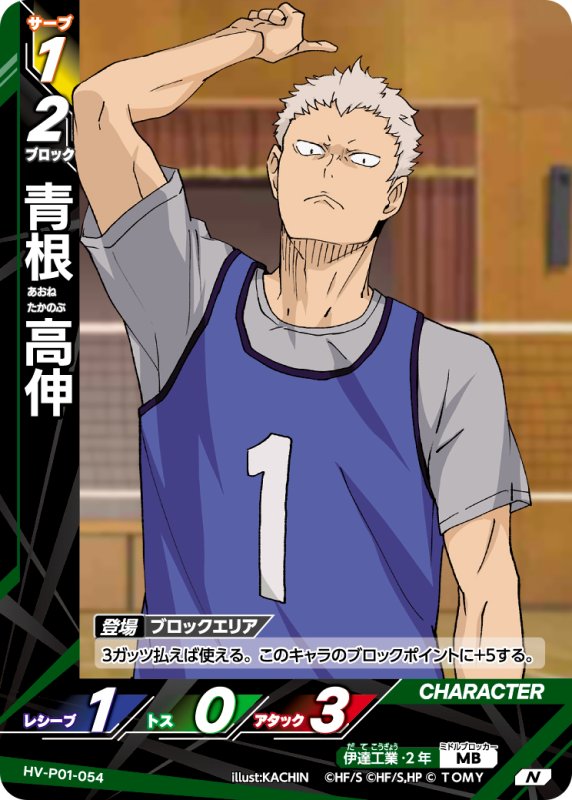 画像1: 青根 高伸【N】《伊達工業》[型番HV-P01-054] (1)