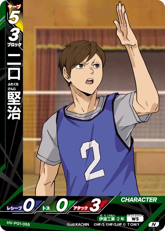 画像1: 二口 堅治【N】《伊達工業》[型番HV-P01-055] (1)