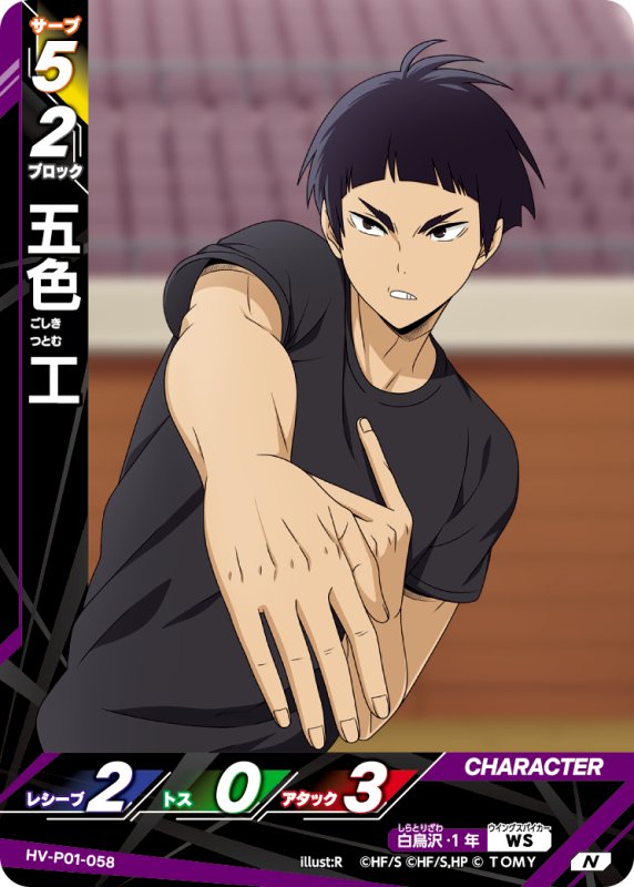 画像1: 五色 工【N】《白鳥沢》[型番HV-P01-058] (1)