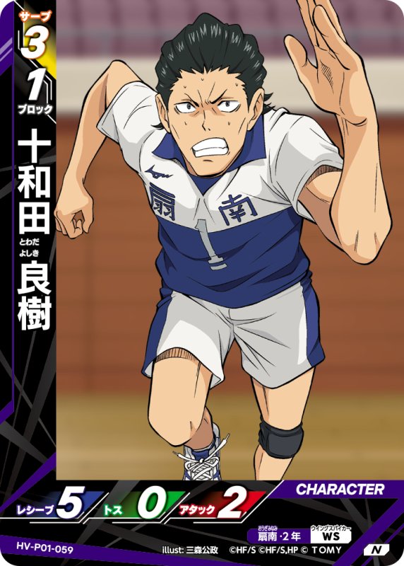 画像1: 十和田 良樹【N】《扇南》[型番HV-P01-059] (1)