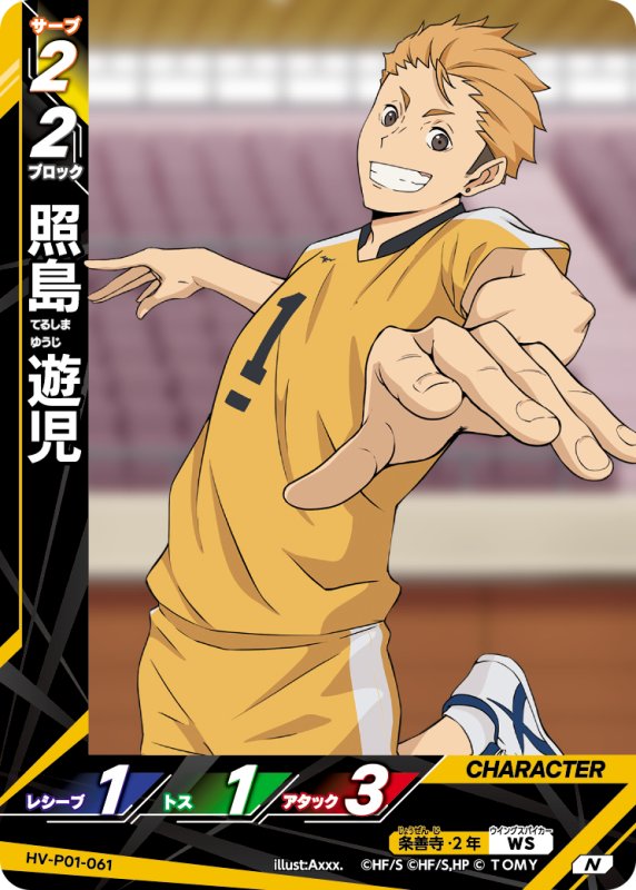 画像1: 照島 遊児【N】《条善寺》[型番HV-P01-061] (1)