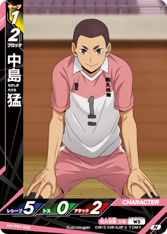 画像1: 中島 猛【N】《和久谷南》[型番HV-P01-062] (1)