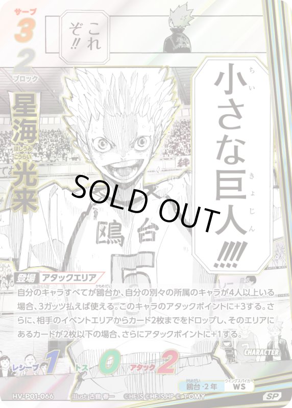 画像1: 星海 光来【SP】《鴎台》[型番HV-P01-066] (1)