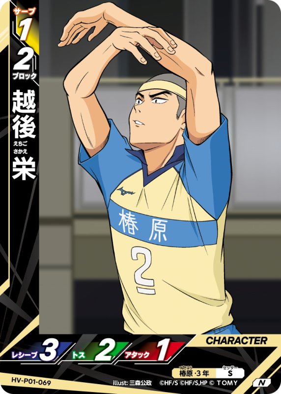 画像1: 越後 栄【N】《椿原》[型番HV-P01-069] (1)