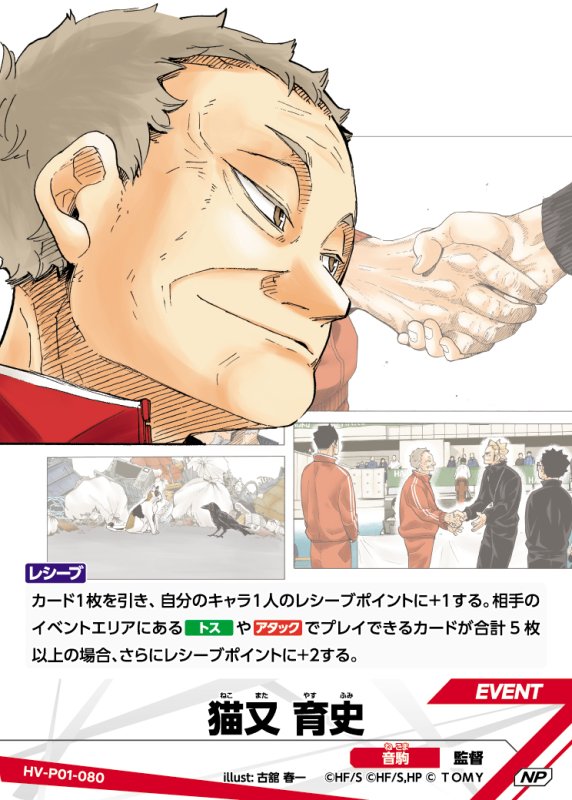 画像1: 猫又 育史【NP】《音駒》[型番HV-P01-080] (1)