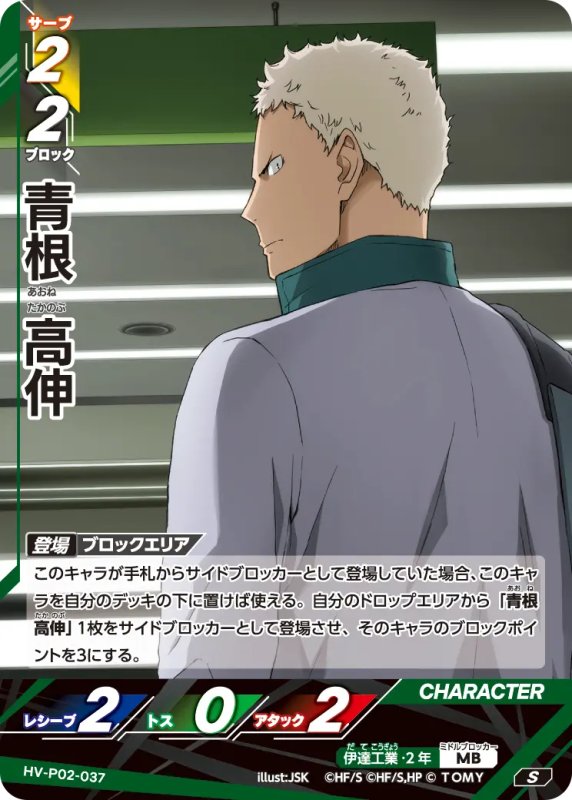 画像1: 青根 高伸【S】《伊達工業》[型番HV-P02-037] (1)