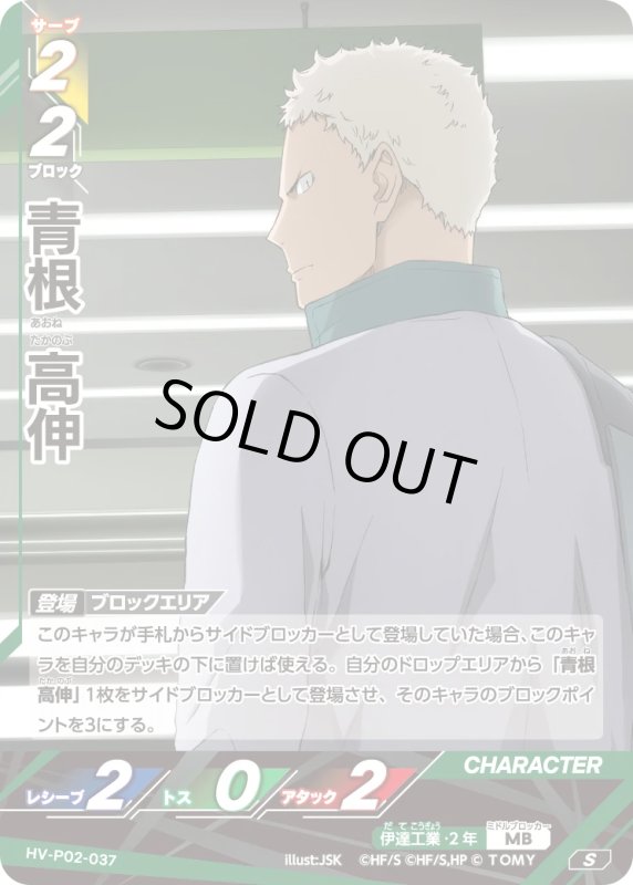 画像1: 青根 高伸【S】《伊達工業》[型番HV-P02-037] (1)