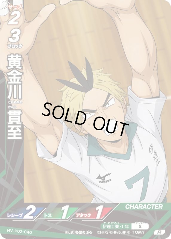 画像1: 黄金川 貫至【R】《伊達工業》[型番HV-P02-040] (1)