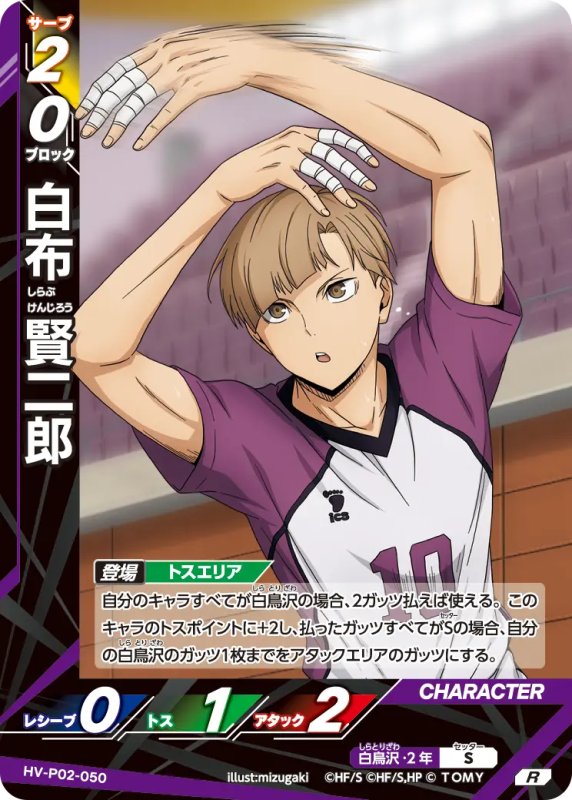 画像1: 白布 賢二郎【R】《白鳥沢》[型番HV-P02-050] (1)