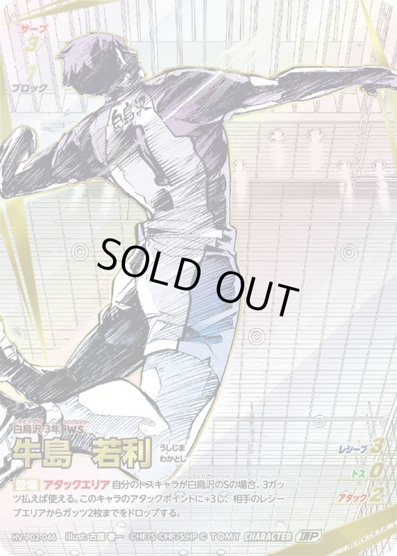 画像1: 牛島 若利【頂P】《白鳥沢》[型番HV-P02-046] (1)