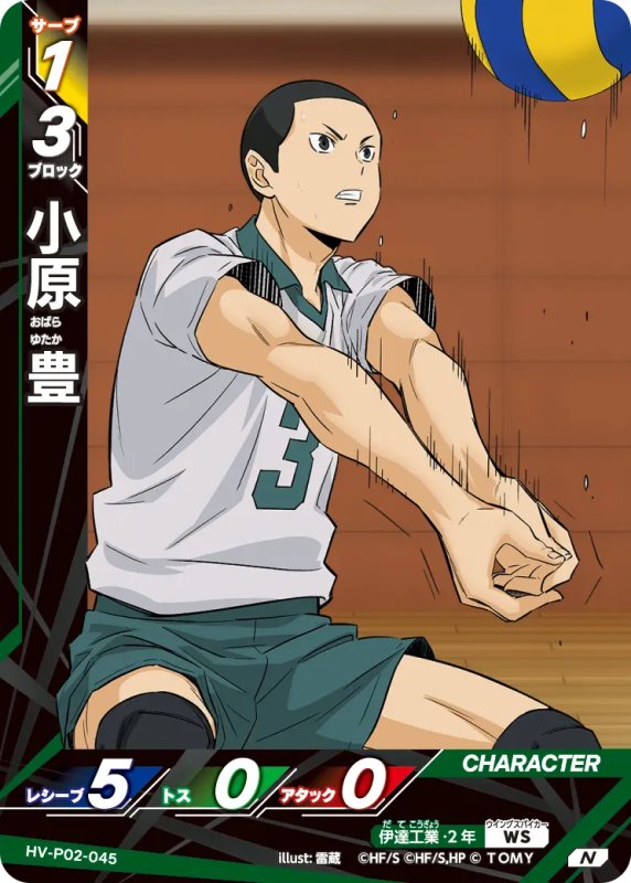 画像1: 小原 豊【N】《伊達工業》[型番HV-P02-045] (1)