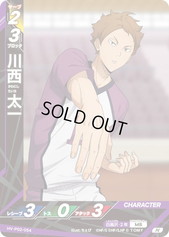 画像1: 川西 太一【N】《白鳥沢》[型番HV-P02-054] (1)