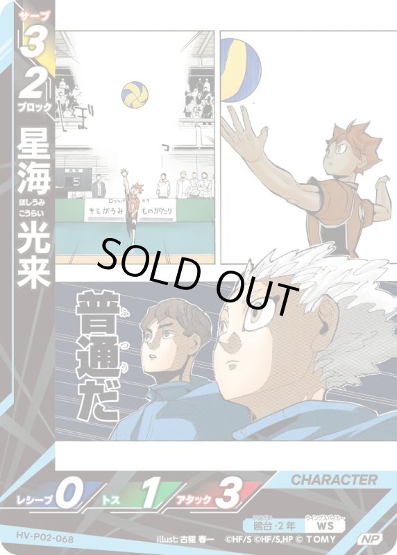 画像1: 星海 光来【NP】《鴎台》[型番HV-P02-068] (1)