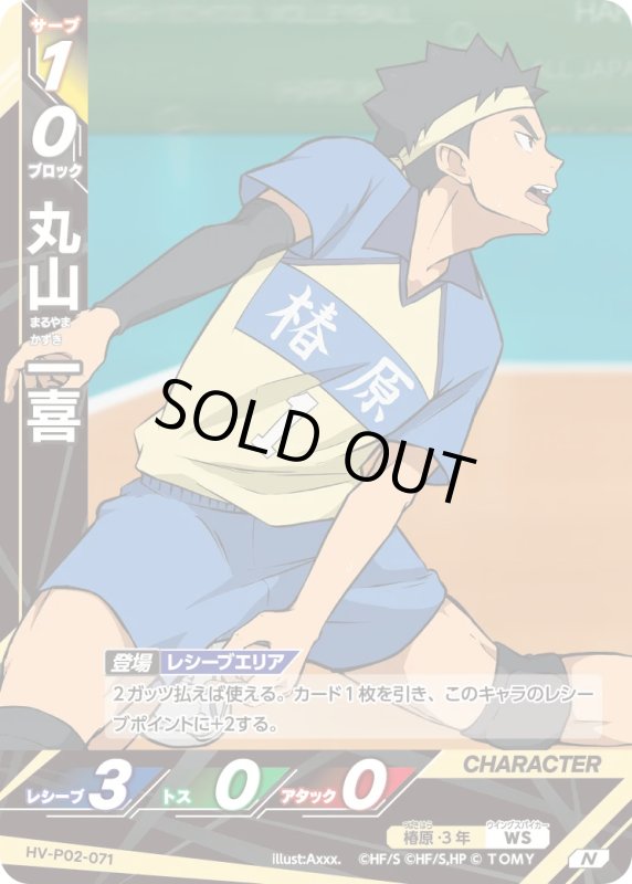 画像1: 丸山 一喜【N】《椿原》[型番HV-P02-071] (1)