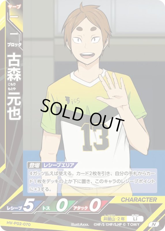 画像1: 古森 元也【N】《井闥山》[型番HV-P02-070] (1)