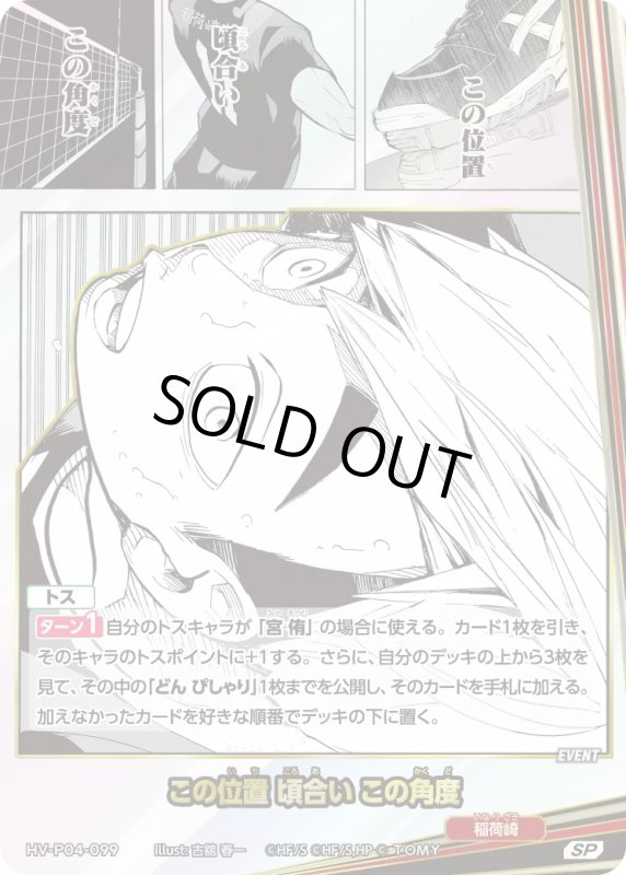 画像1: この位置 頃合い この角度【SP】《稲荷崎》[型番HV-P04-099] (1)