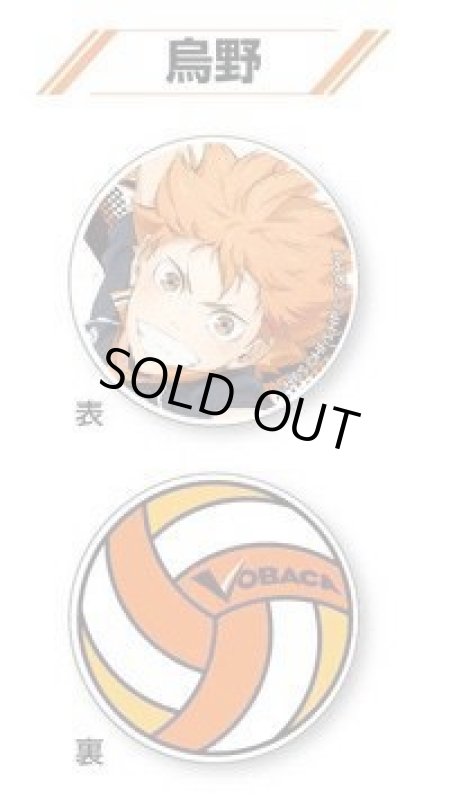 画像1: アクリルマーカー [アクリルマーカー コレクションVol.1・烏野(日向翔陽)] (1)