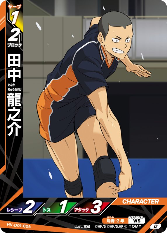 画像1: 田中 龍之介【D】《烏野》[型番HV-D01-006] (1)